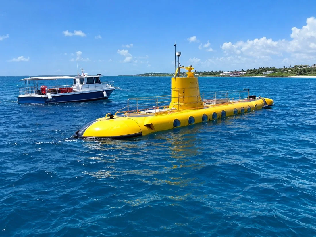 Scenic Boat and Submarine Tour