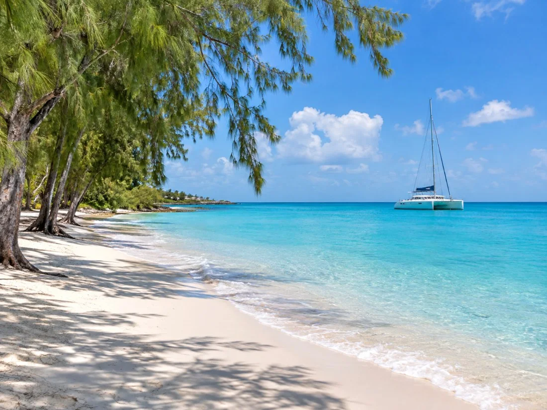 A white-sand west coast beach in Barbados with calm turquoise water and casuarina trees