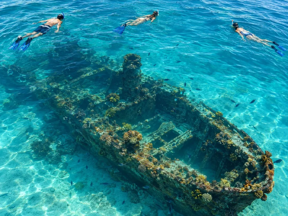 Snorkellers floating above a coral-crusted shipwreck in the shallow blue water of Carlisle Bay